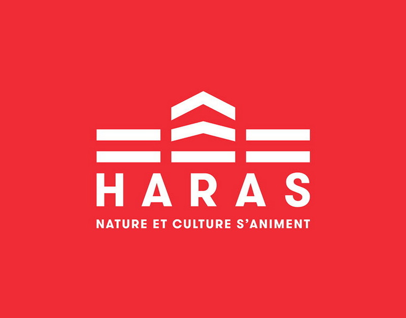 Зоологи насчитали семь-десять вакит